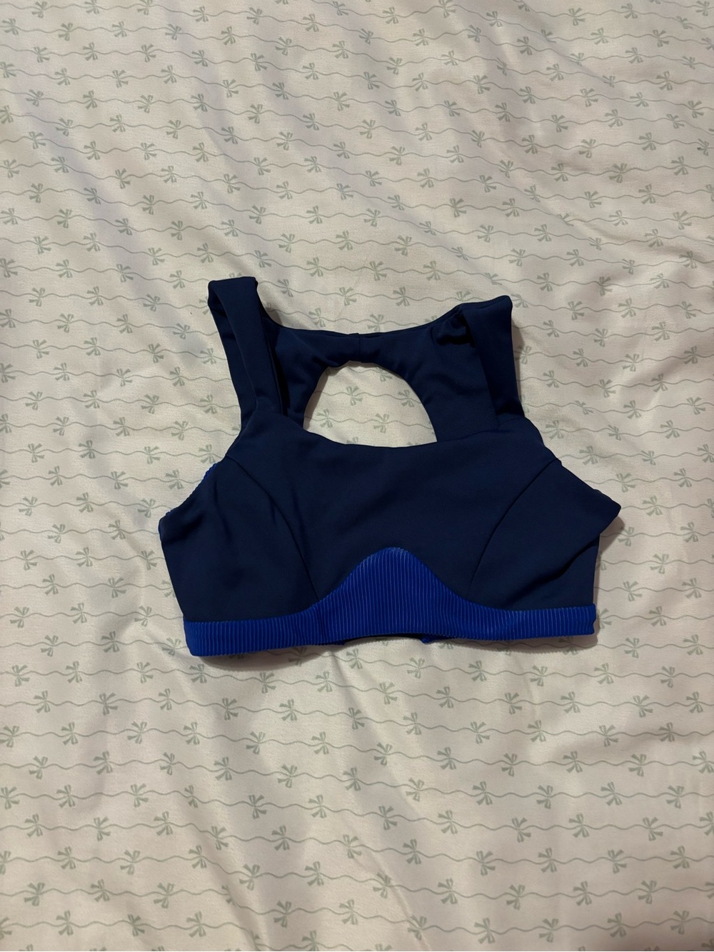 Navy Blue Sport Bra with Royal Blue Trim Tiger Friday